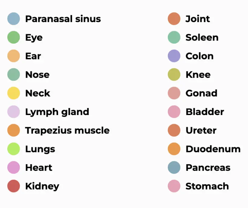 acupressure points in foot